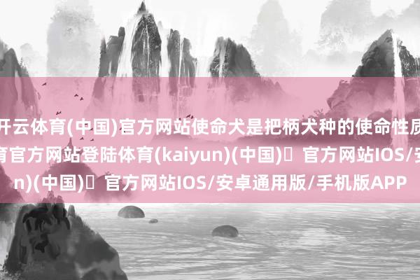 开云体育(中国)官方网站使命犬是把柄犬种的使命性质来隔离的-开yun体育官方网站登陆体育(kaiyun)(中国)❥官方网站IOS/安卓通用版/手机版APP